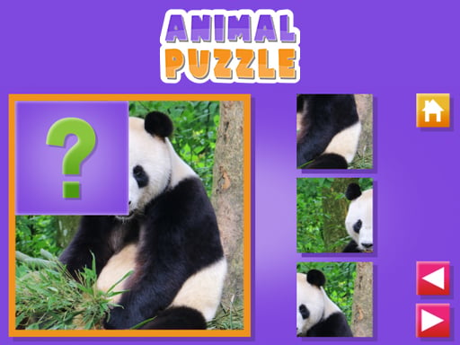 Animal Puzzle